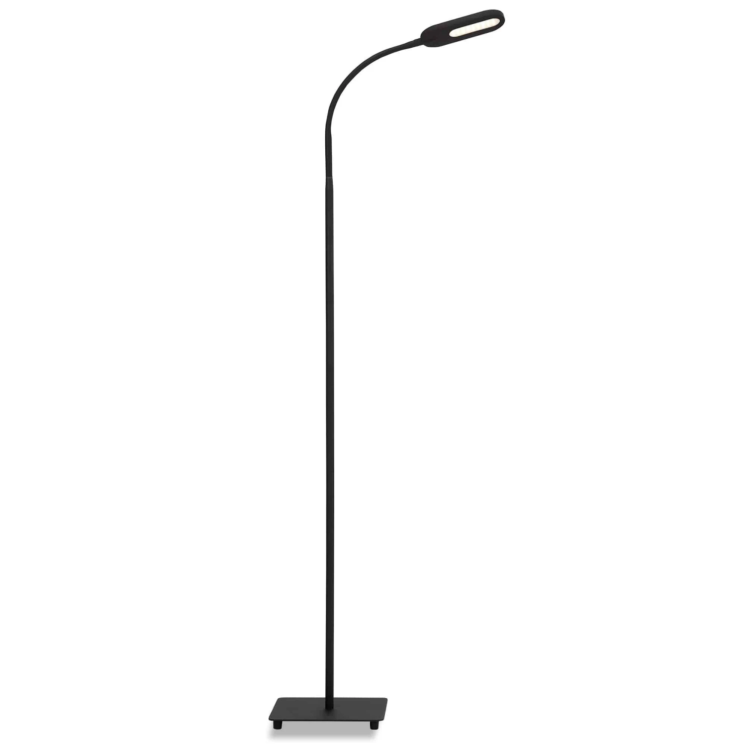 LED CCT Touch Stehleuchte 128 Cm 6,6W 600lm Schwarz 1 LED CCT Touch Stehleuchte 128 Cm 6,6W 600lm Schwarz