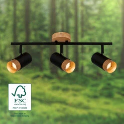 Briloner Plek Wandleuchte, Schwenkbar, Holz, 3-flammig, Schwarz -Briloner Store 22172dd9dc209897e9fbd93491d8e5ad