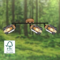 Briloner Hema Deckenstrahler, Rauchglas, Schwenkbar, 3-flammig, Holzbasis -Briloner Store 319b6581c3ecfca0a1c4125662f374b9
