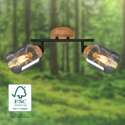 Briloner Hema Deckenstrahler, Rauchglas, Schwenkbar, 2-flammig, Holzbasis -Briloner Store 651d7d3f8a6c8e2692f11421ce4eb3b4