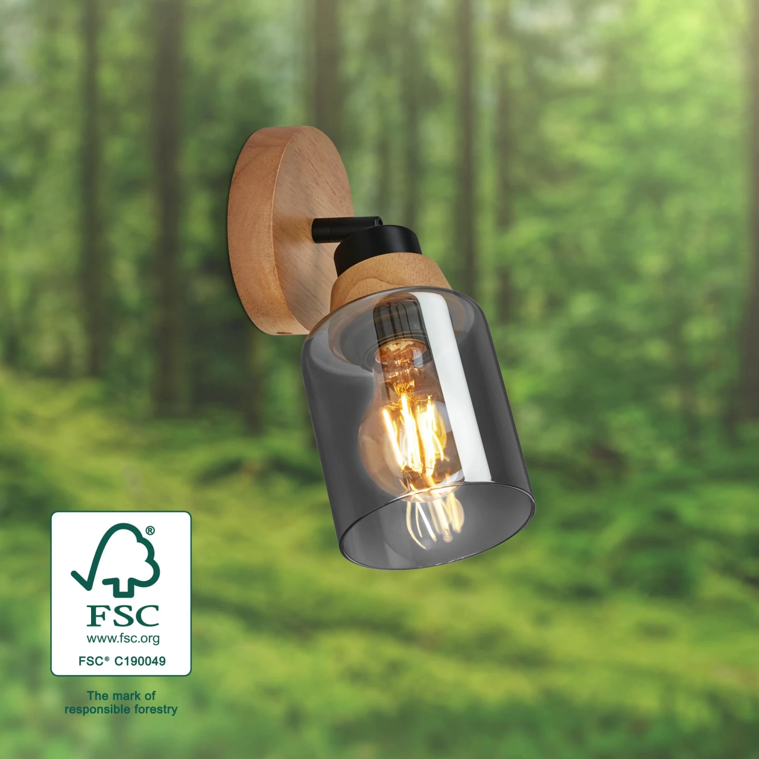 Briloner Hema Wandleuchte, Rauchglas, Schwenkbar, 1-flammig, Holzbasis 3 Briloner Hema Wandleuchte, Rauchglas, Schwenkbar, 1-flammig, Holzbasis – Bild 3