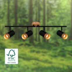 Briloner Plek Wandleuchte, Schwenkbar, Holz, 4-flammig, Schwarz -Briloner Store 9a77c5184f101a24ff29937df4db7b10