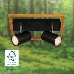 Briloner Frey Deckenstrahler, Schwenkbar, 2-flammig, Holz, Schwarz -Briloner Store b8fd4a17b31355d53bccfa1968f4058e