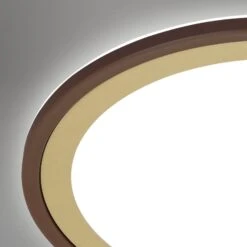 Ultraflaches CCT-LED Panel Mit LED Backlight, Ø42 Cm, LED, 22 W, 3000 Lm, Braun-gold -Briloner Store cct led panel ultraflach braun gold detail 1869e9f617fb0e323d75238be5e414f0
