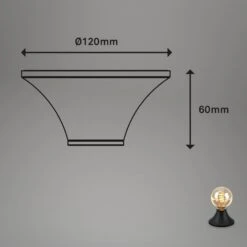 Deckenleuchte 6 Cm 1x Exkl. E27 Max. 10 Watt Schwarz -Briloner Store deckenleuchte e27 schwarz masse f62334a30802bed5a27bd3f53e369f1d