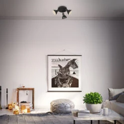 Spotleuchte Ø 19 Cm 3xexkl. E14 Max. 25W Schwarz -Briloner Store spotleuchte schwarz 3xe14 funktion 67cae1d34d726aa3cadbeabba36c931b